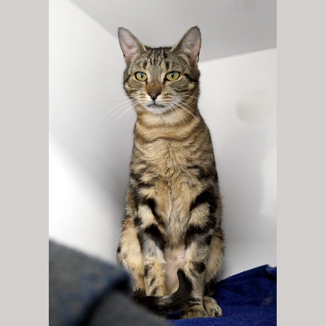 Photo of Margaret Sua014376