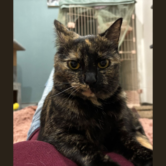 Photo of Rosie