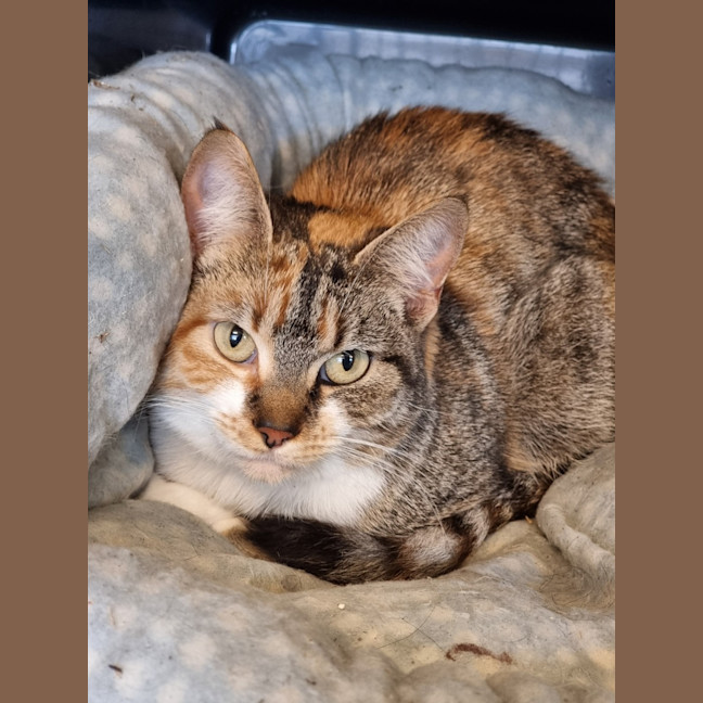 Photo of Mimi