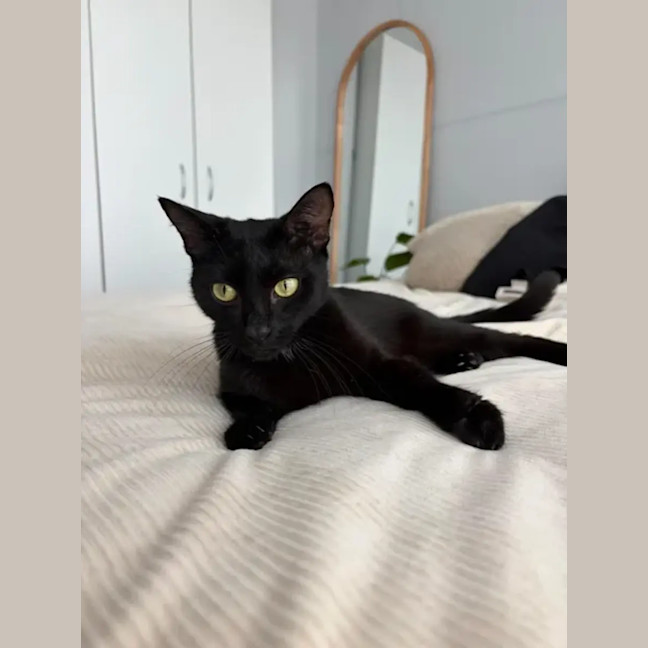 Photo of Ruby