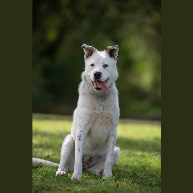 Photo of Breeze