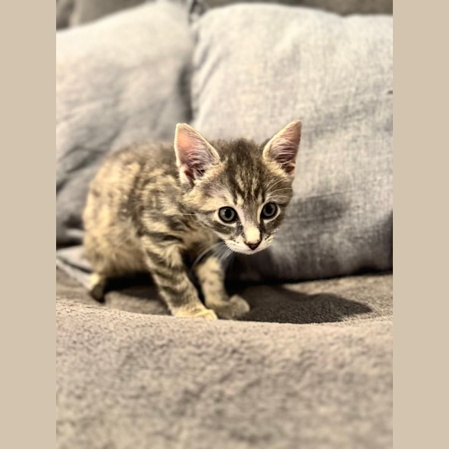 Photo of Freaking Freddie