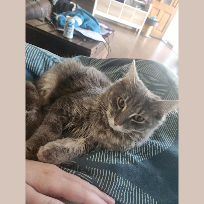Photo of Stormy