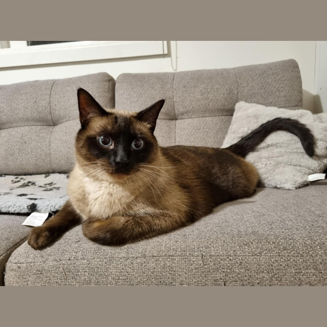 Photo of Frankie & Freddy   Located In Preston