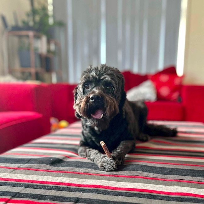 Photo of Bubbles 🫧 