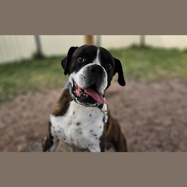 Photo of Ralphy