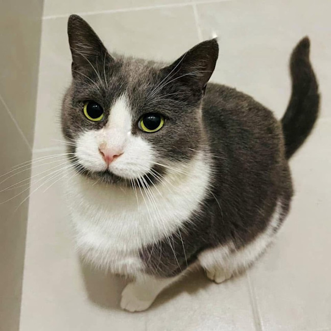 Photo of 10428   Amani