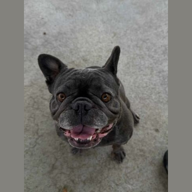Photo of Charlie