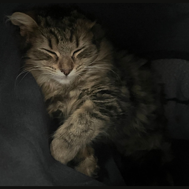 Photo of Ellie 