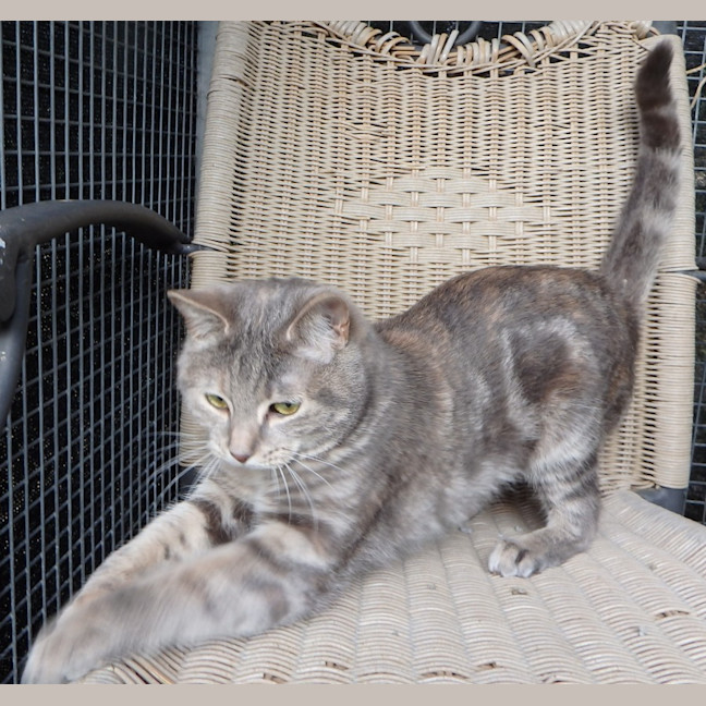 Photo of Fleur And Sky