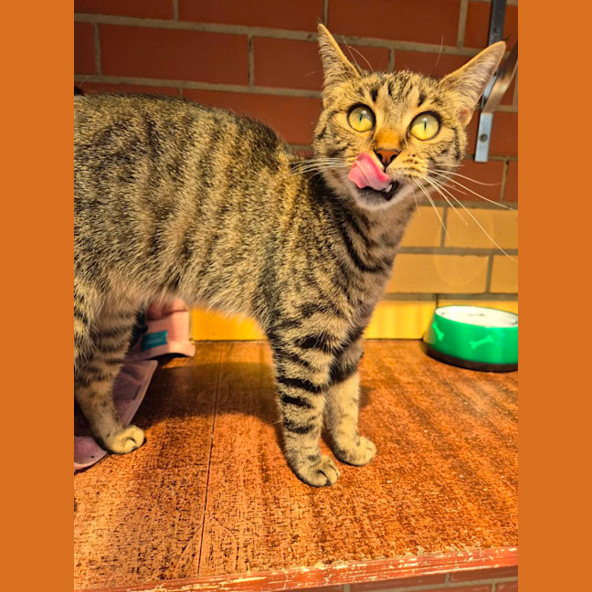 Photo of Jolene!👢