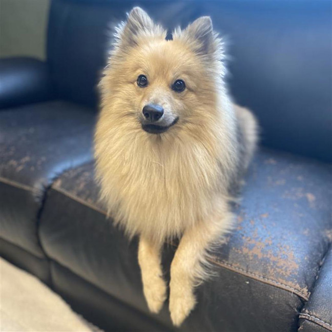 Photo of Houdini