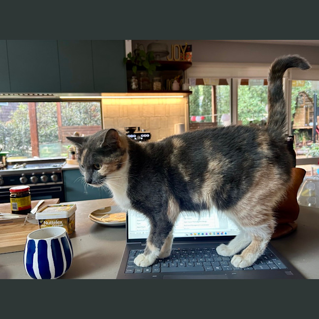 Photo of Lois