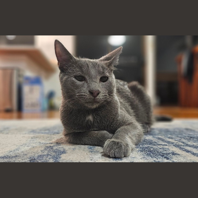Photo of Harley