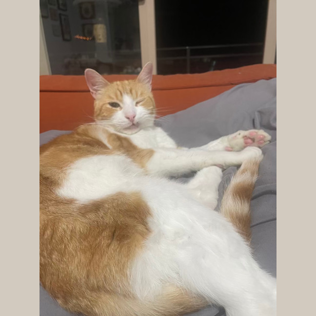 Photo of Fred