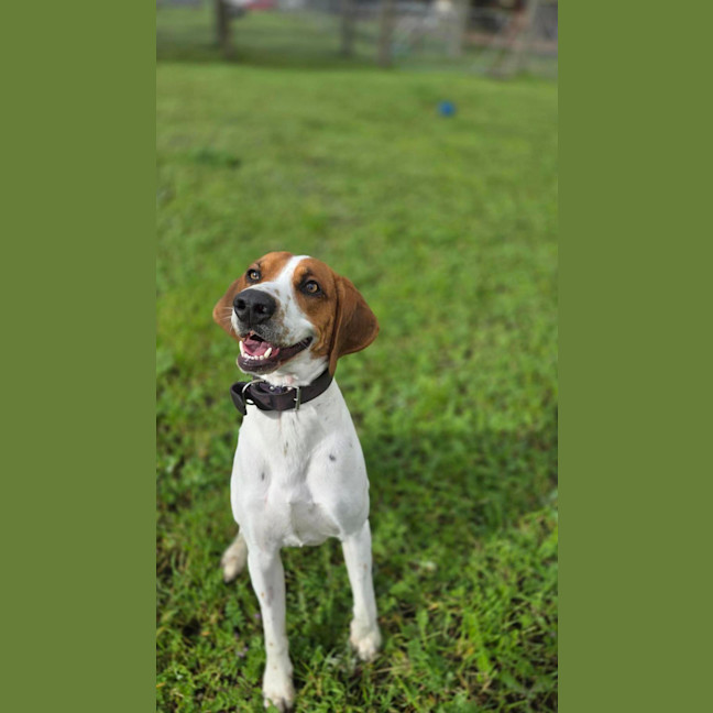 Photo of Wally