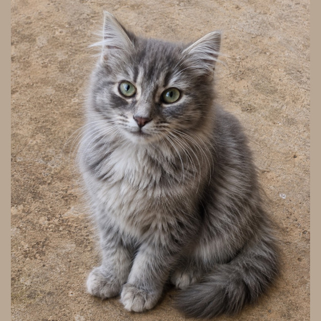 Photo of Matilda