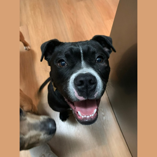 Photo of Harken