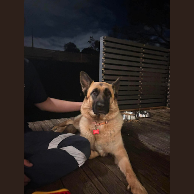 Photo of Nymeria