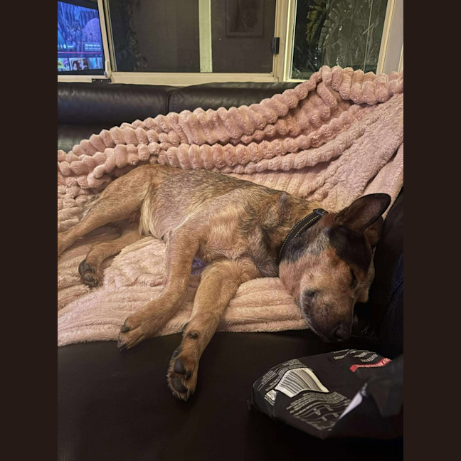 Photo of Shelly