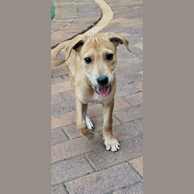 Photo of Statler