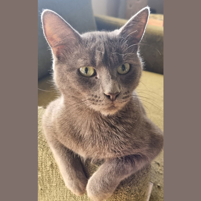 Photo of Sassy