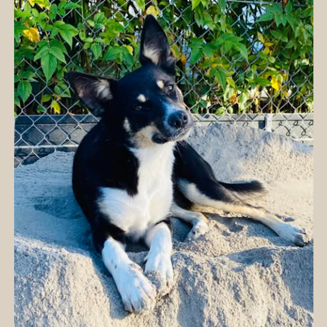 Photo of Pg (Pretty Girl)