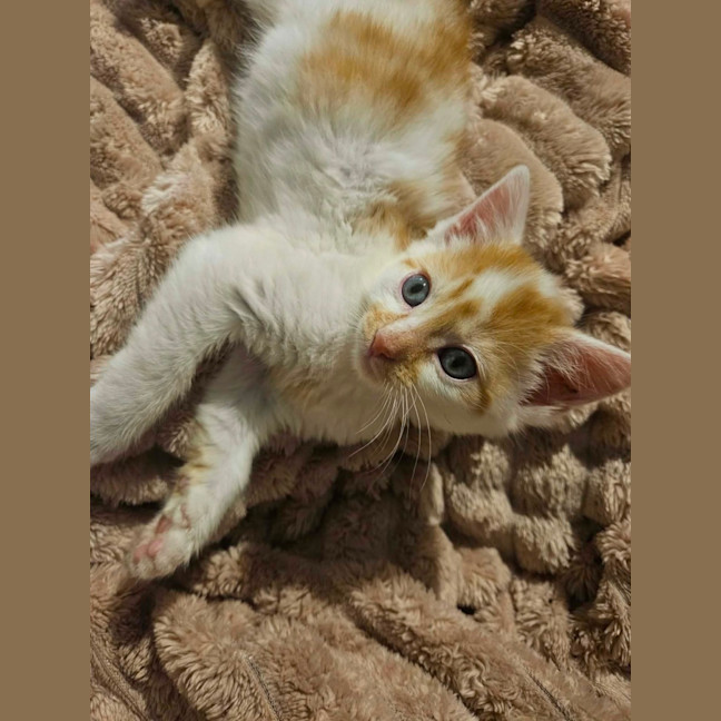 Photo of Oli