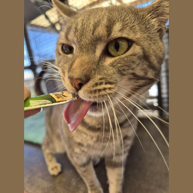 Photo of Draco! 🎩