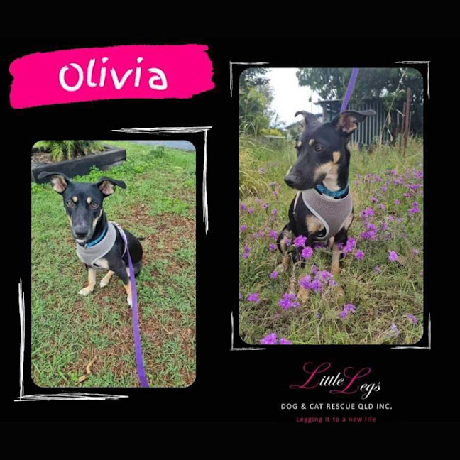 Photo of Olivia