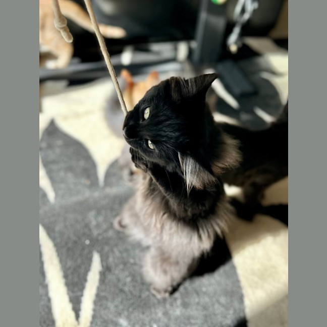 Photo of Lumos   Located In Lower Plenty