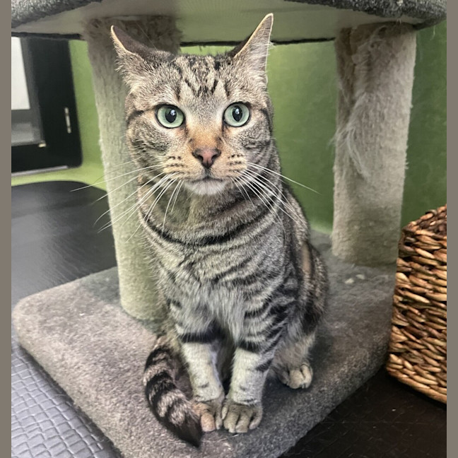 Photo of Monty