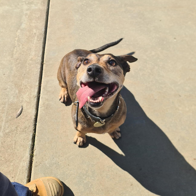 Photo of Roxy