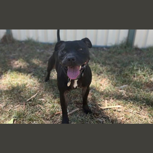 Photo of Rocket