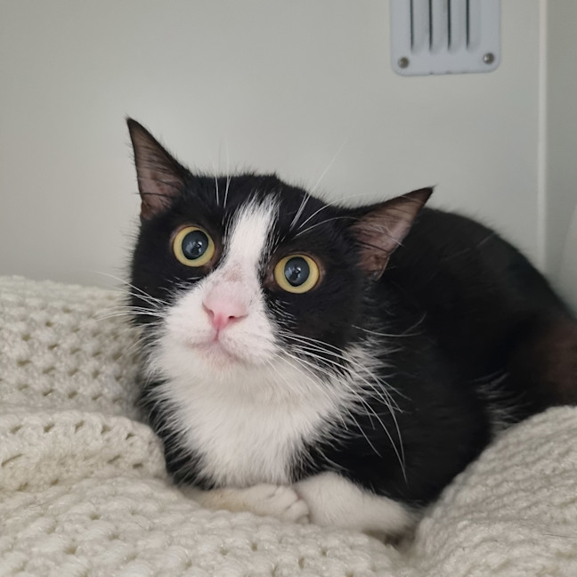Photo of Minnie