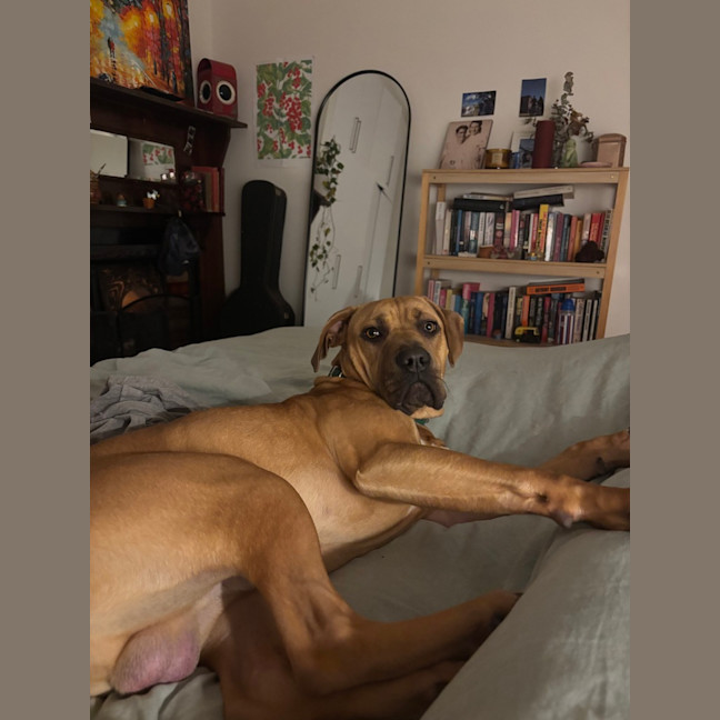 Photo of Rico 