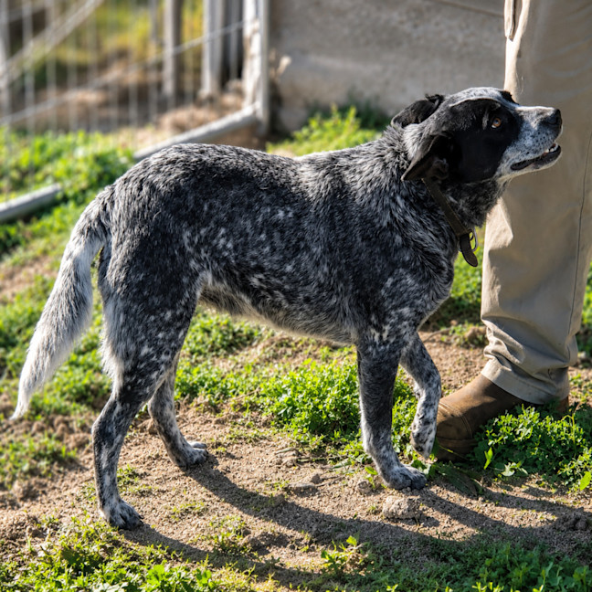 Photo of Dora