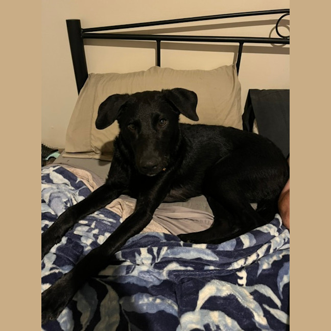 Photo of Luna Aka Lu Lu