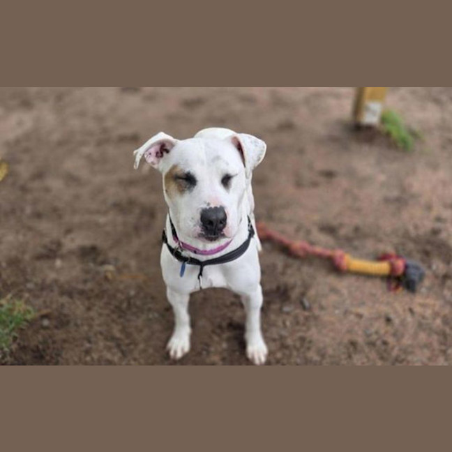 Photo of Maggie