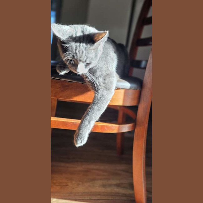 Photo of Pearl