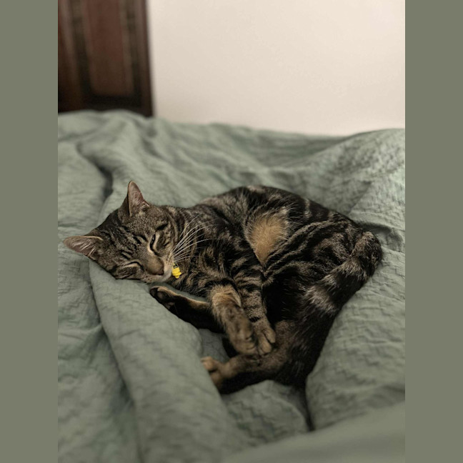 Photo of Max Purkinje