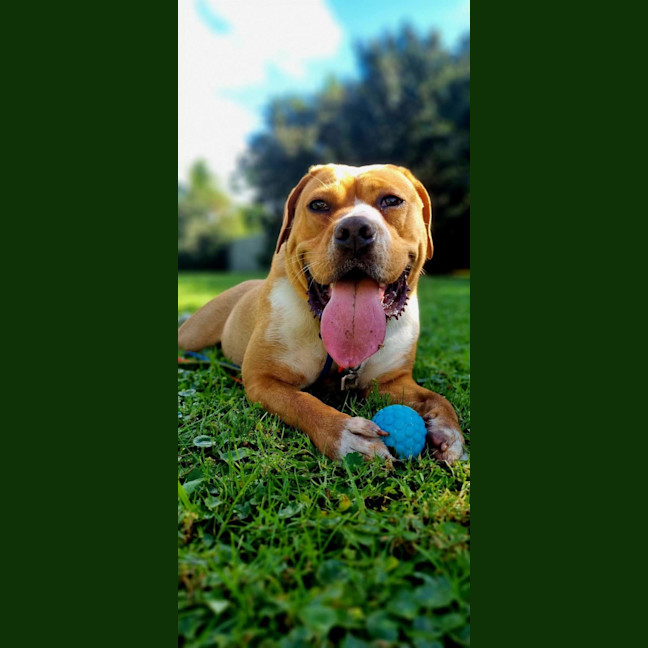 Photo of Rosie