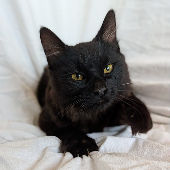 Photo of Mimi
