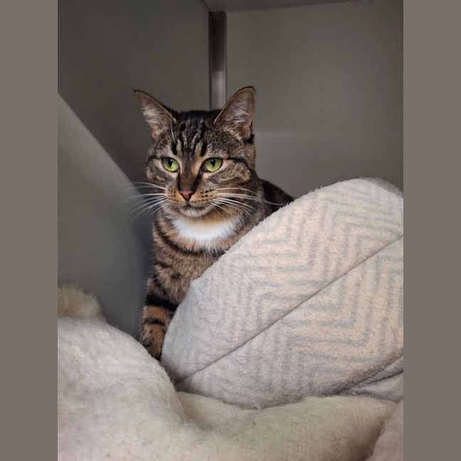 Photo of Polly