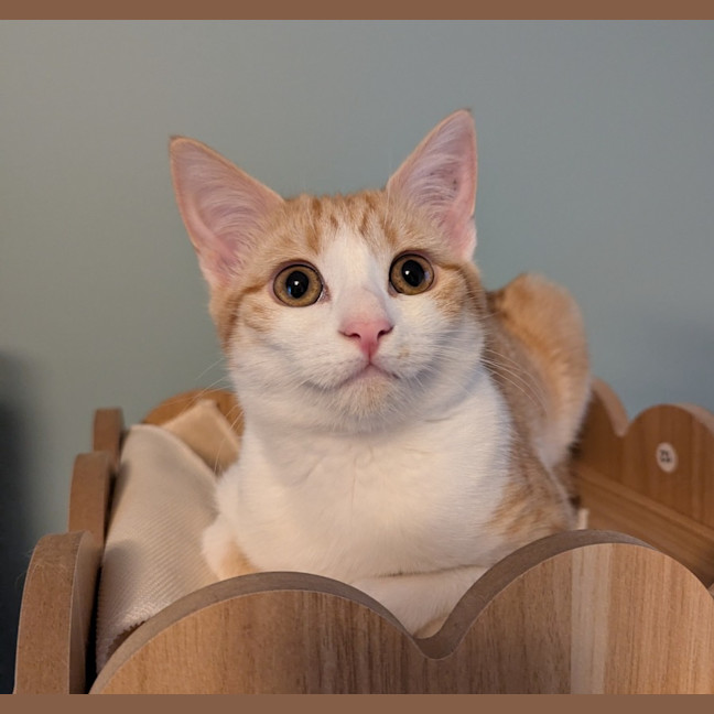 Photo of Ricette (Ricky)