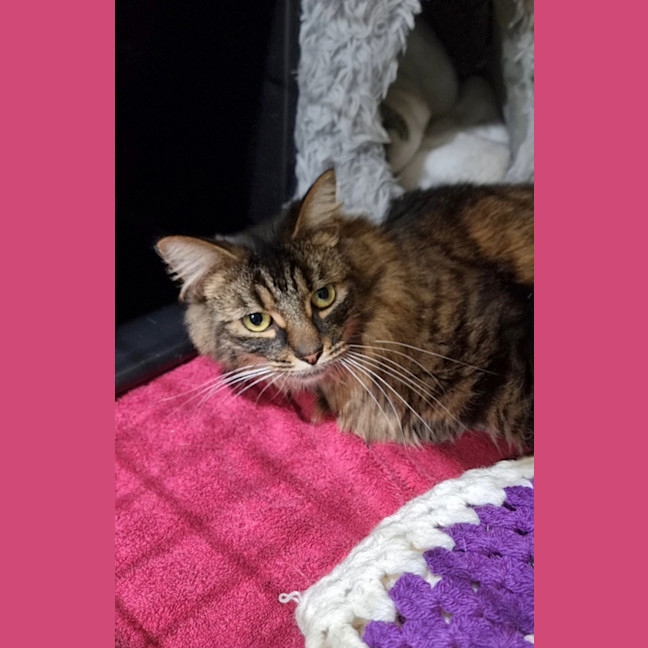 Photo of Storm