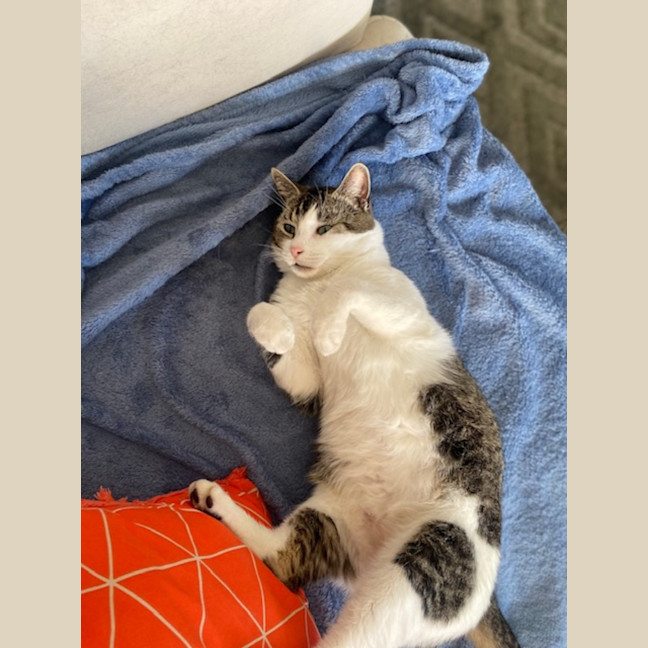 Photo of Ranger