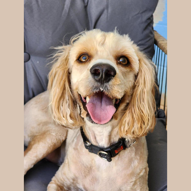 Photo of 🐝 Charlie 6852 🐝