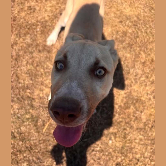 Photo of Benny