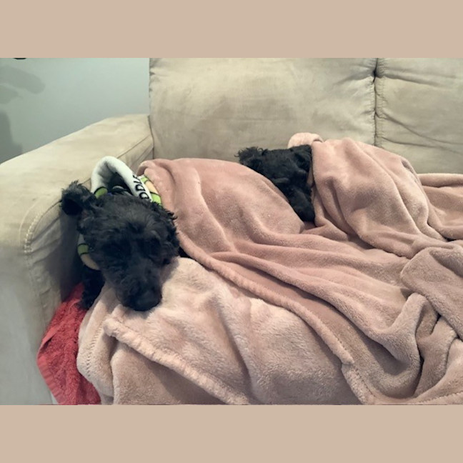 Photo of Greta And George